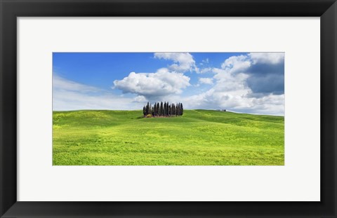 Framed Cypresses, Val d&#39;Orcia, Tuscany (detail) Print