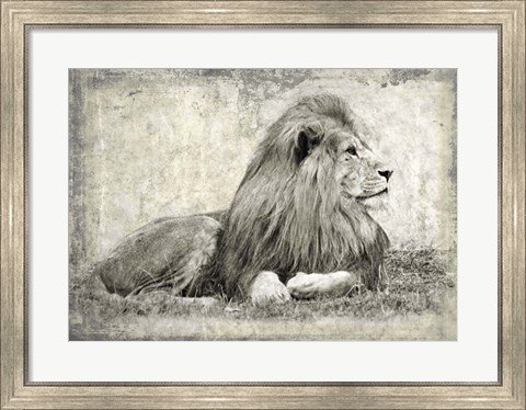 Framed Memories of Africa I Print