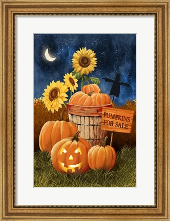 Framed Pumpkins For Sale - Night Sky Print