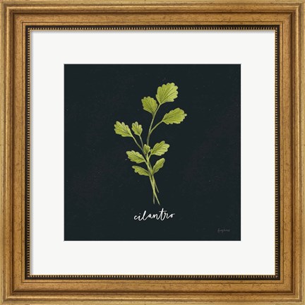 Framed Herbs IV Black Print