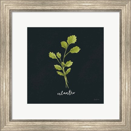 Framed Herbs IV Black Print