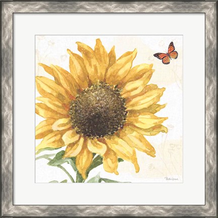 Framed Sunflower Splendor IX Print