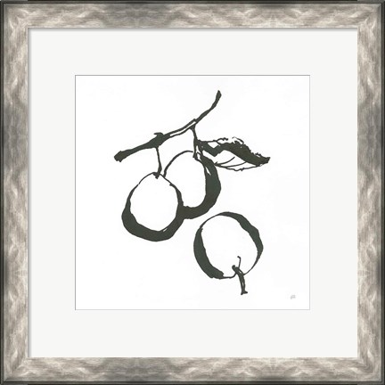 Framed Plums II BW Print