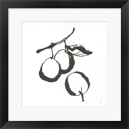 Framed Plums II BW Print