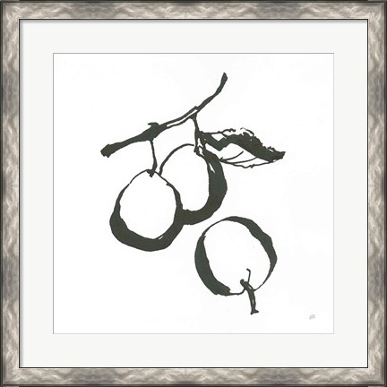 Framed Plums II BW Print