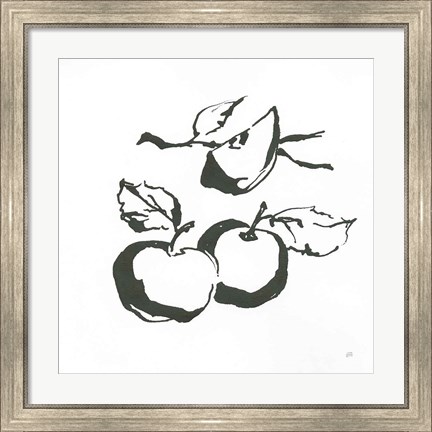 Framed Apples BW Print