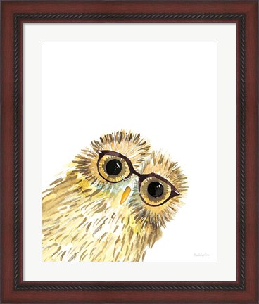 Framed Owl in Glasses Print