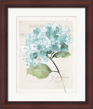 Framed Antique Floral I Blue Vintage Print