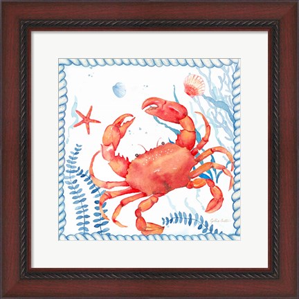 Framed Nautical Sea Life I-Crab Print