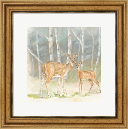 Framed Woodland Reflections IV-Doe Print