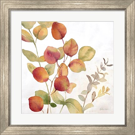 Framed Eucalyptus Leaves Spice II Print