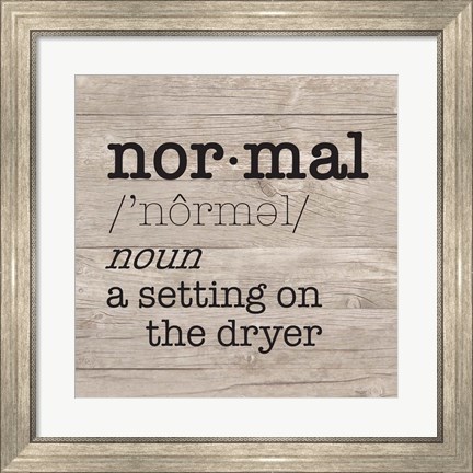 Framed Laundry Room Humor II-Normal Print