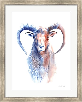 Framed Copper and Blue Ram Print