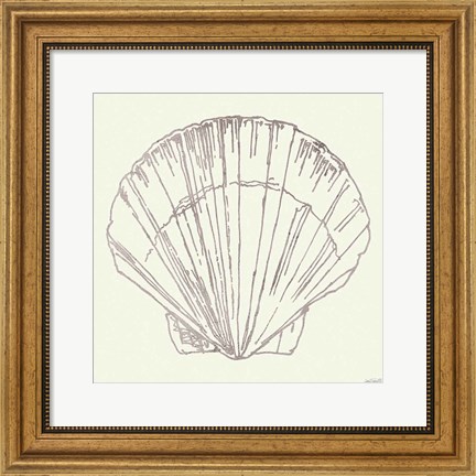 Framed Coastal Breeze Shell Sketches V Silver Print