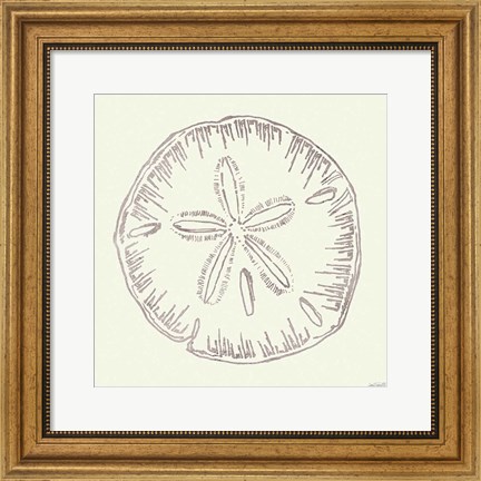 Framed Coastal Breeze Shell Sketches IV Silver Print