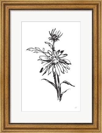 Framed Line Echinacea I Print