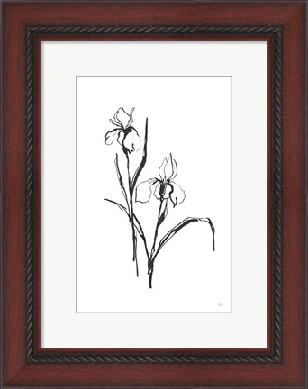 Framed Line Iris III Print