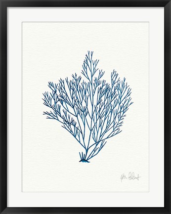 Framed Sea Garden II Royal Blue Print