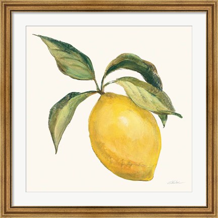 Framed Le Citron on Cream Print