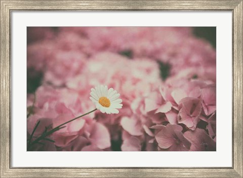 Framed Daisy Dreams Print