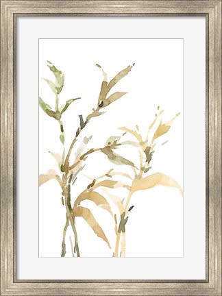 Framed Stems II Print