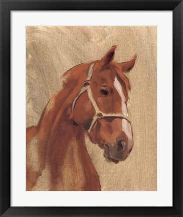 Framed Thoroughbred II Print