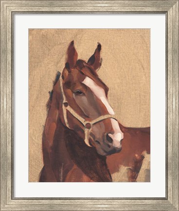 Framed Thoroughbred IV Print