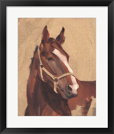 Framed Thoroughbred IV Print