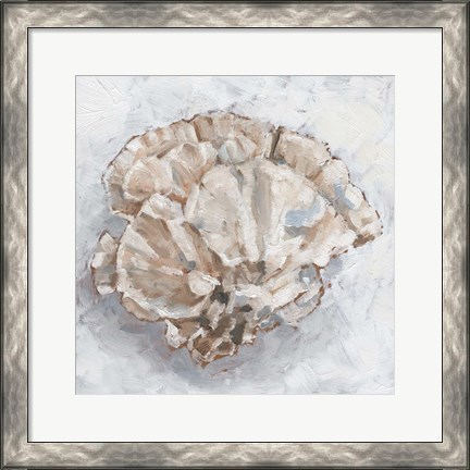 Framed Coral Display III Print