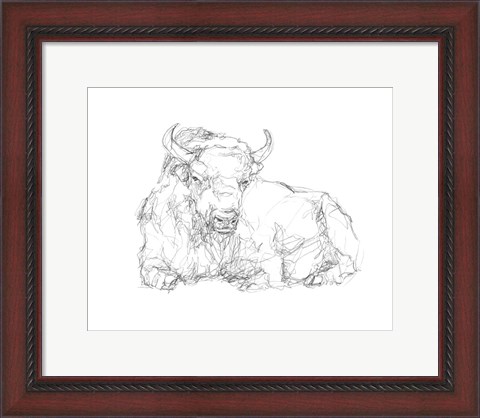 Framed Bison Contour Sketch II Print