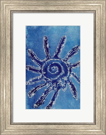 Framed Cerulean Shells V Print