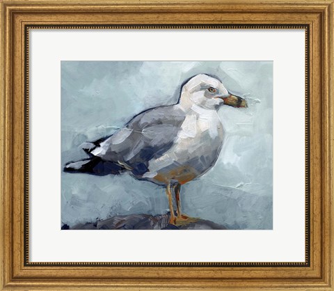 Framed Seagull Stance I Print