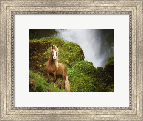 Framed Collection of Horses I Print