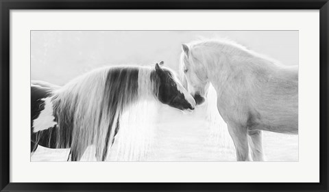 Framed Collection of Horses III Print