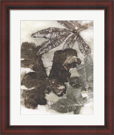 Framed Oak Leaves Print