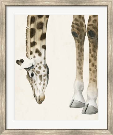 Framed At Your Feet II Print