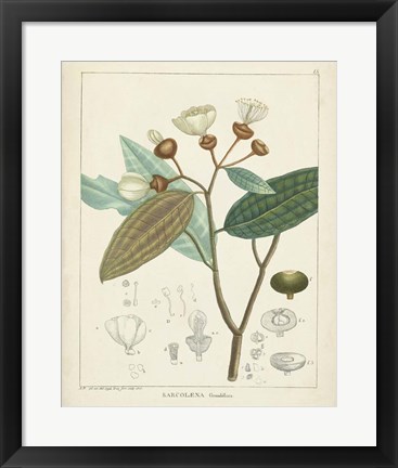 Framed Vintage Verdure III Print