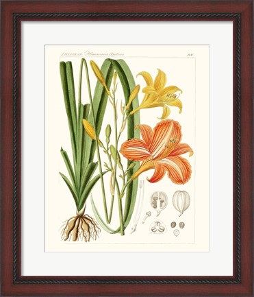 Framed Bright Botanicals VIII Print