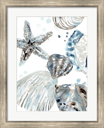 Framed Cerulean Seashells II Print