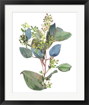 Framed Seeded Eucalyptus I Print