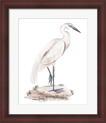 Framed White Heron IV Print