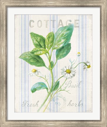 Framed Floursack Herbs IV Print