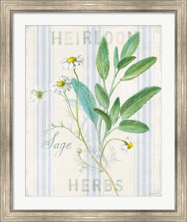 Framed Floursack Herbs III Print