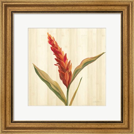 Framed Tropical Garden II Print