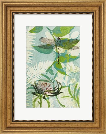 Framed Elusive Dragonfly and Waratah Print