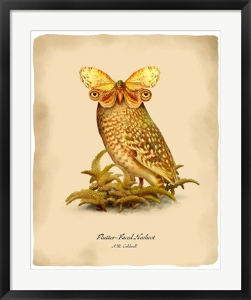 Framed Hoohoot Print