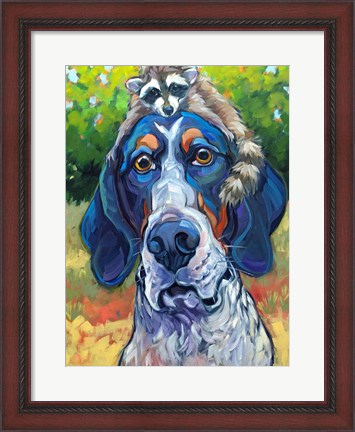 Framed Coonhound Print