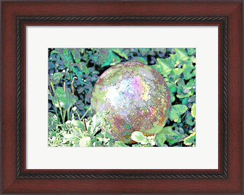 Framed Garden IX Print