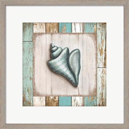 Framed Turquoise Seashell Print