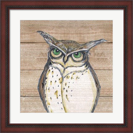 Framed Owl Print